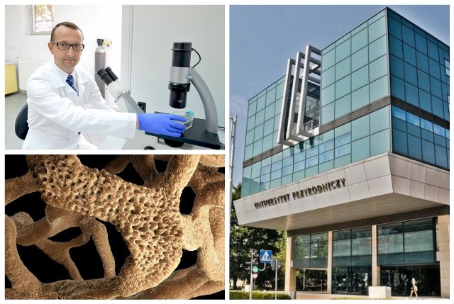 Naukowcy z Uniwersytetu Przyrodniczego we Wrocławiu pracują nad szczepionką przeciwko osteoporozie.