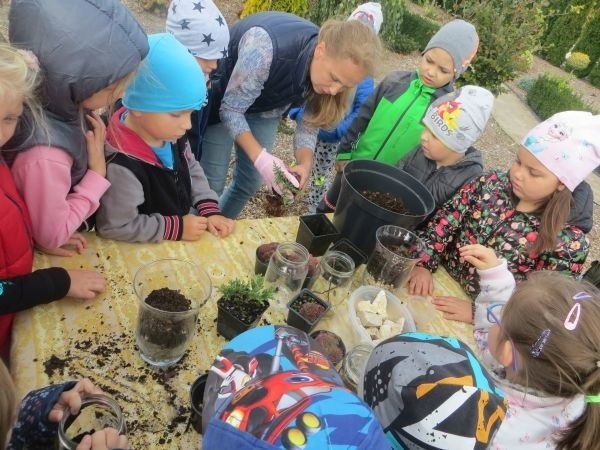 Dzieci z Samorządowego Przedszkola w Pacanowie świętowały Dzień Przedszkolaka. Pojechały na wycieczkę do szkółki drzew i krzewów [ZDJĘCIA