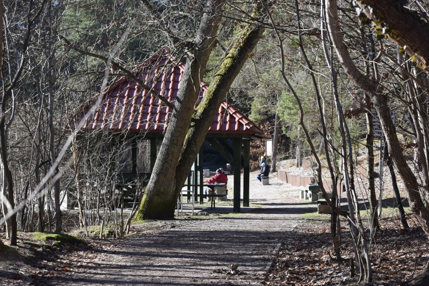 Stawek Upiorów to bagienny zbiornik wodny o powierzchni 32...