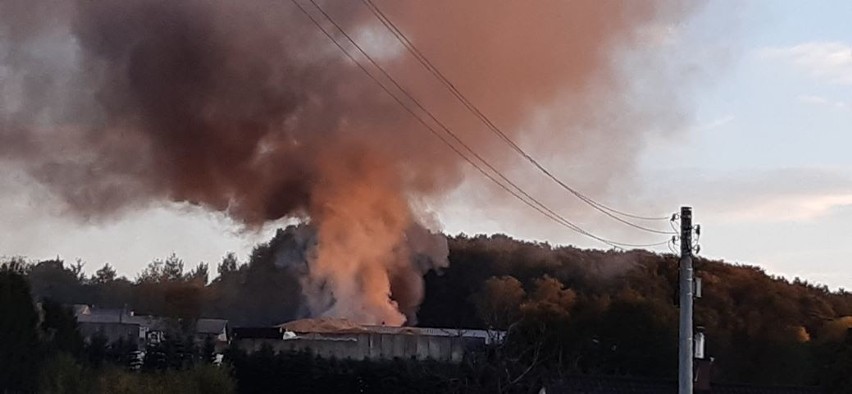 Pożar w sortowni w Wolicy - zdjęcia pani Iwony