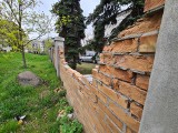 Rozpadający się mur toruńskiego cmentarza żydowskiego, o którym kilka razy pisaliśmy, zostanie odbudowany