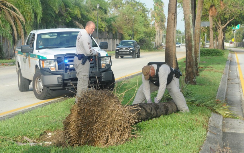 USA: Huragan Irma zabił dziesięć osób [ZDJĘCIA] Najbardziej ucierpiały Tampa i Key West na Florydzie