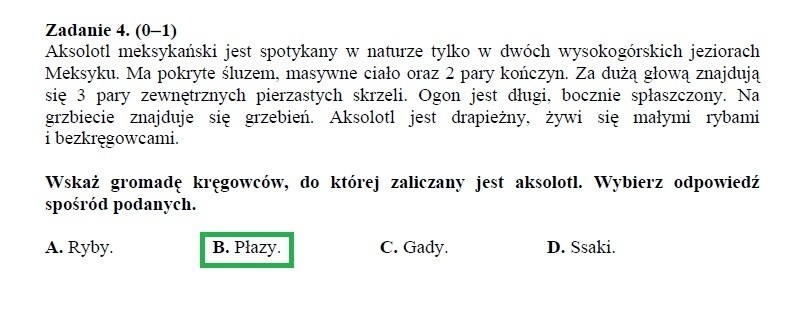 Egzamin gimnazjalny 2013 przyroda. Test z biologii, geografii, fizyki, chemii [ARKUSZE, ODPOWIEDZI]