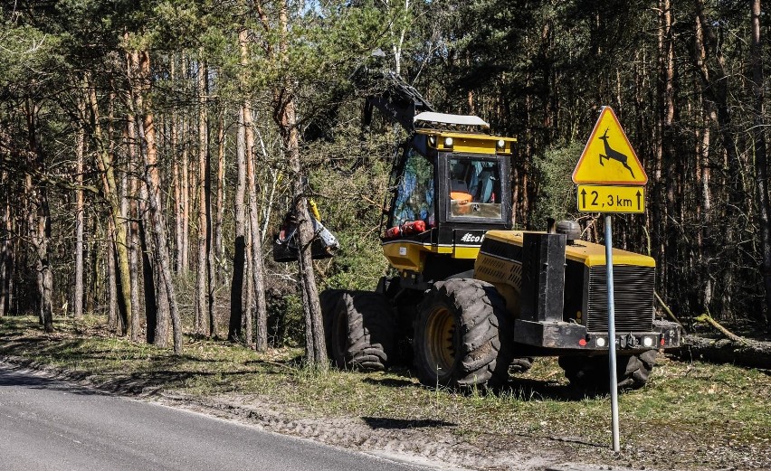 Wycinka drzew na ulicy Smukalskiej