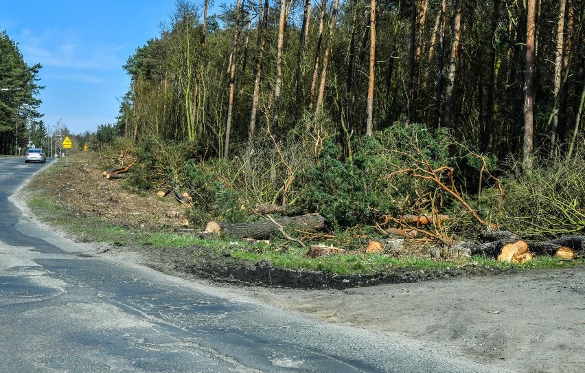 Wycinka drzew na ulicy Smukalskiej