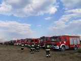 Ogromny pożar na poligonie drawskim. 30 zastępów w akcji [ZDJĘCIA]