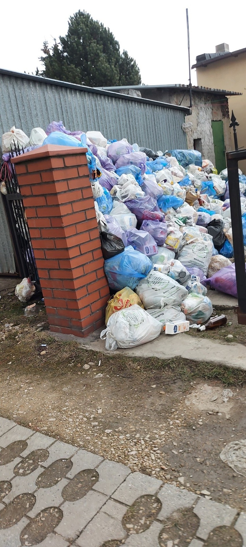 Śmieci piętrzą się na posesji przy ulicy Traugutta w...