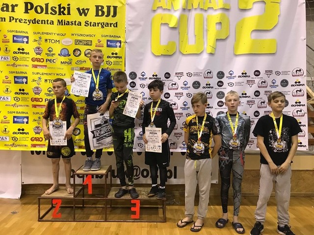 Zawodnicy z regionu udanie powalczyli na matach i w klatkach podczas niedawnych imprez. Z dobrej strony pokazała się ekipa Ronin Gold Team Koszalin podczas Pucharu Polski Gi & No Gi dla dzieci i młodzieży oraz turnieju Animal Cup w Stargardzie. W kategorii dzieci i młodzieży podopieczni trenera Sylwestra Dziekanowskiego wywalczyli osiem złotych, cztery srebrne i cztery brązowe medale. Dorośli zaś wrócili do domu z trzema złotymi, jednym srebrnym i jednym brązowym krążkiem. Wyniki Ronina, Puchar Polski Gi & No Gi dla dzieci i młodzieży: 1. Nikodem Stankiewicz (dzieci III gi i no gi, do 28A kg), 1. Szymon Furmański (dzieci III gi i no gi, do 28B kg), 1. Daniel Bajowski (dzieci IV gi chłopcy, pas żółty, -36 kg) 1. Michalina Rozmus (dzieci III gi dziewczyny, pas żółty, -40 kg), 1. Jerzy Janicki (dzieci III gi chłopcy, pas żółty, -44 kg), 1. Dawid Sobczak (beniaminki no gi, +72 kg), 1. Nikodem Gibuła (junior no gi, -69 kg), 1. Konrad Cyrankowski (junior gi, 79,5 kg), 2. Szymon Stąpor (beniaminki gi i no gi chłopcy, -42 kg), 2. Dawid Sobczak (beniaminki gi chłopcy, +72 kg), 2. Igor Domblat (młodzik no gi chłopcy, -65 kg), 2. Konrad Cyrankowski (junior no gi, 79,5 kg), 3. Jagoda Głogowska (dzieci IV gi dziewczyny, -40 kg), 3. Katarzyna Kaczmarek (beniaminki gi dziewczyny, -53 kg), 3. Filip Urbanowicz (beniaminki gi chłopcy, -59 kg), 3. Hubert Michalski (młodzik no gi, -72 kg); Animal Cup: 1. Michał Falkowski ( adult białe pasy no gi mężczyźni, -67,5 kg), 1. Przemysław Kuliś (adult niebieskie pasy no gi mężczyźni, -79,5 kg), 1. Arkadiusz Maciejewski (masters no gi mężczyźni, -79,5 kg), 2. Sebastian Dziekanowski (adult no gi mężczyźni, -73,5 kg),  3. Konrad Kricki (adult białe pasy no gi mężczyźni, - 79,5 kg).Wcześniej utytułowany zawodnik Juniora Ronin Gold Team, Nikodem Stankiewicz, wywalczył trzy złote medale podczas  BJJ Championships 2019 w Berlinie.Udanie zaprezentowali się fighterzy Gorillaz Koszalin na Mistrzostwach Pomorza Amatorskiego MMA K1 Submission Only w Rumi. W gronie setek uczestników z całego kraju, startujących w różnych kategoriach wiekowych i w różnych grupach zaawansowania, w kat. MMA I do 70 kg 1. miejsce zajął Robert Grzegorczyk, a w grupie średnio-zaawansowanych do 98,9 kg zwyciężył Błażej Cisłowski.Zobacz także Magazyn Sportowy GK24 (27.05)