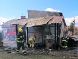 Dobrzankowo. Pożar wędzarni. W środku znajdowała się butla gazowa. Strażacy gasili pożar, pomogli też lekko  rannej właścicielce