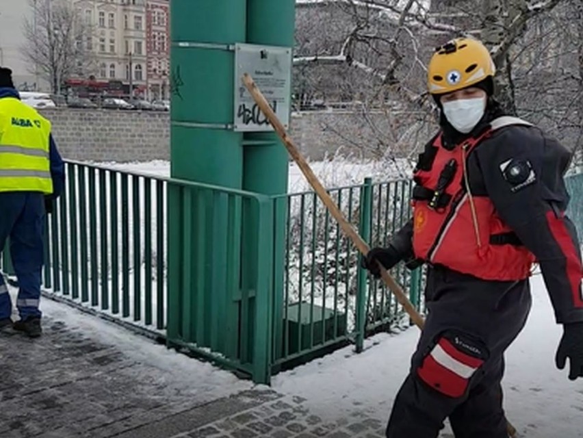 Ptasia grypa we Wrocławiu. Martwe łabędzie w Odrze. Nie spaceruj nad rzeką, nie dokarmiaj ptaków