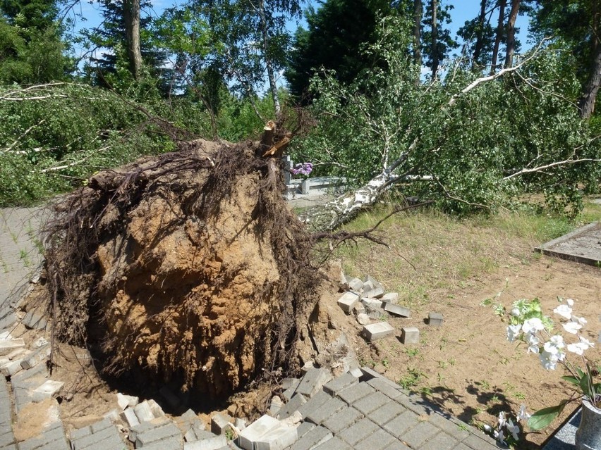 Burza w Poznaniu: Po nawałnicy jak po bitwie