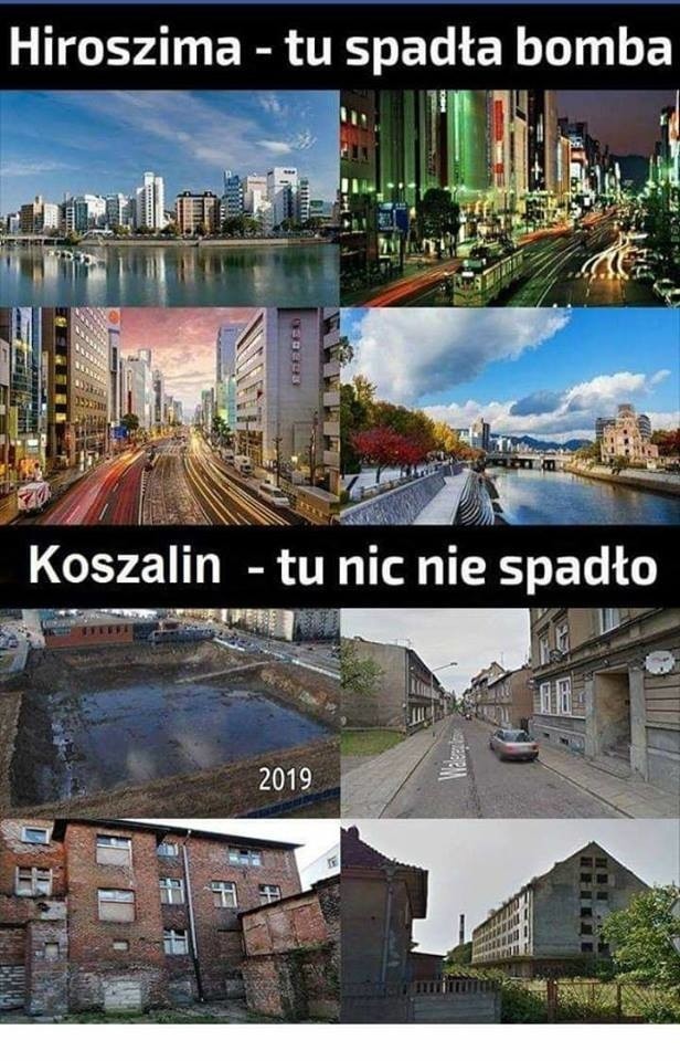 Najnowsze memy o Koszalinie. Internet nie przestaje się śmiać