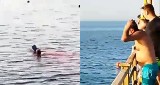 Rekiny w Egipcie zabiły dwie turystki! Czy opolscy turyści, którzy uwielbiają tamtejsze kurorty, są bezpieczni? 