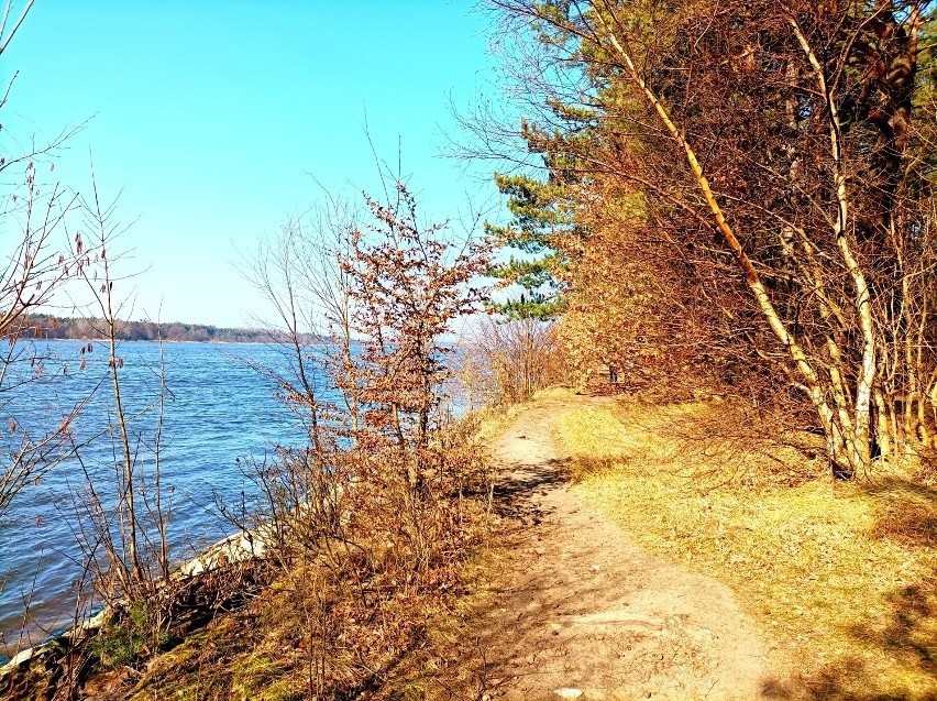 Wiosenny spacer do Ujścia Wisły. Jezioro Mikoszewskie i...