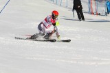 Zakopane. Na Harendzie rozegrano Puchar Europy w slalomie [ZDJĘCIA]