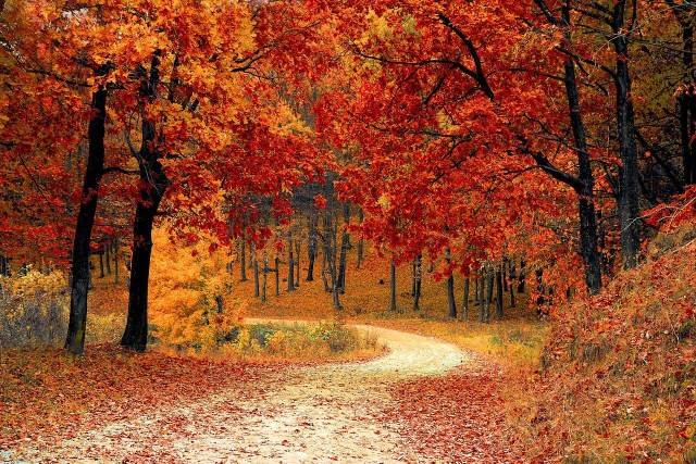 Przyjemna aura zachęca do jesiennych spacerów