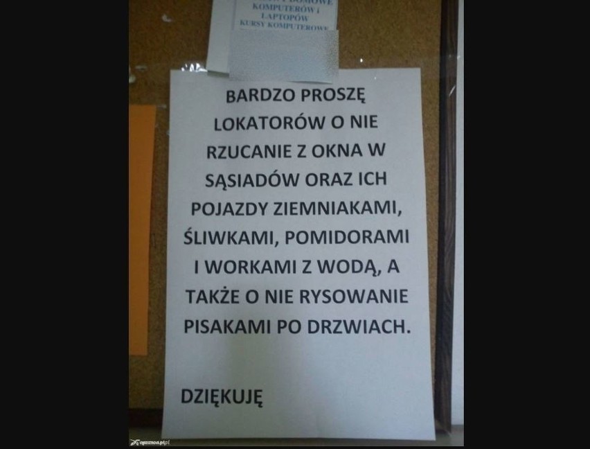Oto listy od sąsiadów do sąsiadów! Wywieszane są w Łodzi na klatkach schodowych bloków, wieżowców z wielu bardzo dziwnych powodów
