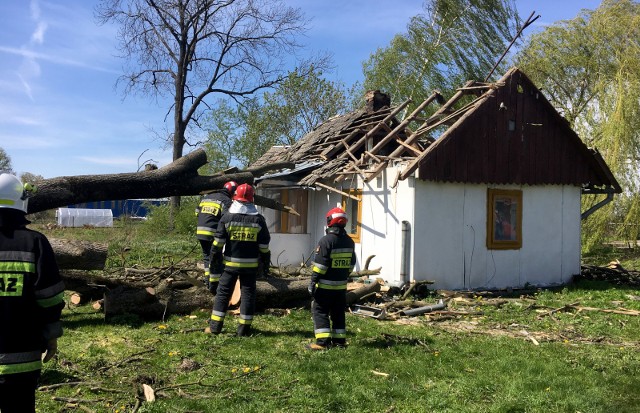 We wtorek około godz. 12, strażacy otrzymali informację o przewróconym drzewie w Stubnie w pow. przemyskim. Na skutek silnego wiatru przewracające się drzewo zniszczyło dach drewnianego budynku. W tym czasie w środku przebywała jedna osoba. Nie odniosła żadnych obrażeń. Na miejscu jako pierwsza dojechała jednostka OSP Stubno, a później samochód ratownictwa technicznego z JRG Przemyśl.