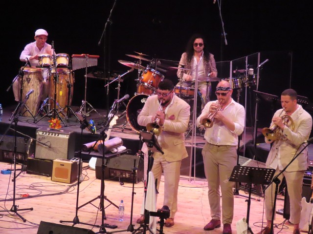 Członkowie "Los Pitutos" tworzą unikalny rodzaj muzyki, łącząc klasyczne rytmy latynoskie, takie jak bolero, cumbia czy cha-cha w brzmieniu z lat 60. i 70. i wpływami muzyki afroamerykańskiej.