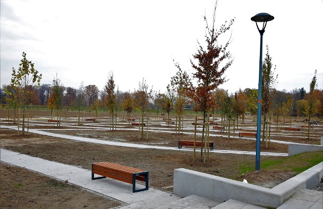 Budowa pierwszego etapu parku 800-lecia Opola ma się wkrótce zakończyć