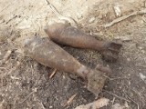 Znaleziono granaty moździerzowe z czasów II wojny światowej w lesie niedaleko Krzyża Wielkopolskiego