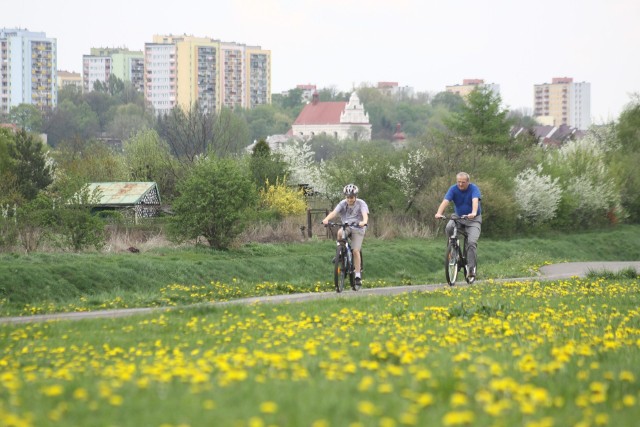 Jedna z propozycji na majówkę to rowerowe wycieczki po Lublinie i okolicach. Ładnych tras nie brakuje, a  można wybrać zarówno te trudniejsze, jak i krótsze