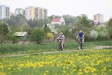 Gdzie pojechać rowerem na miejską majówkę. Propozycje tras w Lublinie. Rowerowe wyprawy na kilka godzin (MAPA)