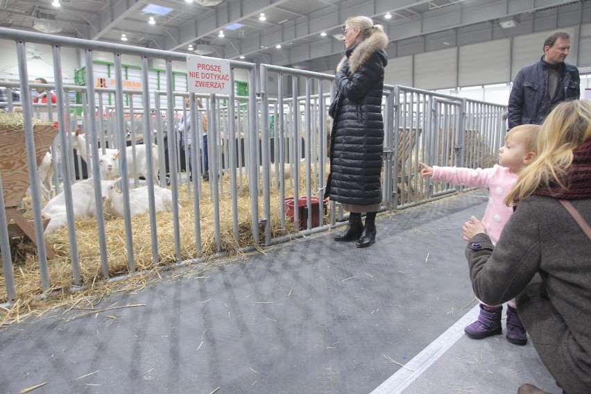 Podlaskie akcenty na Narodowej Wystawie Rolniczej w Poznaniu (zdjęcia)