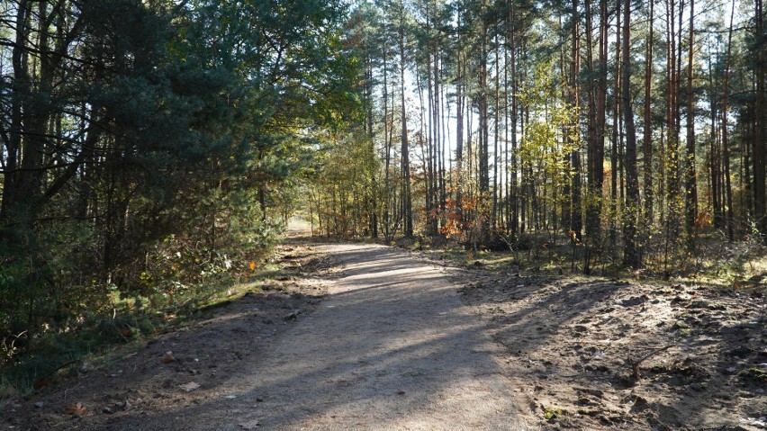 Gmina Żarki oddała kolejną malowniczą ścieżkę rowerową. To już blisko 30 km tras do atrakcji tej gminy i malowniczej Jury.