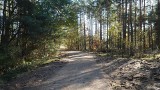 Gmina Żarki oddała kolejną malowniczą ścieżkę rowerową. To już blisko 30 km tras do atrakcji tej gminy i malowniczej Jury. WIDEO i ZDJĘCIA
