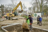 Inwestycje w Łodzi. Kończy się przebudowa placu Komuny Paryskiej i skweru Wiedźmina. Zaczęło się sadzenie drzew i krzewów