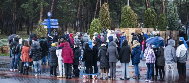 Darmowe Jabłka przed aulą UMKRozdawanie darmowych jabłek odbyło się przed aulą UMK. Owoce zostały przywiezione trzema TIR-ami.