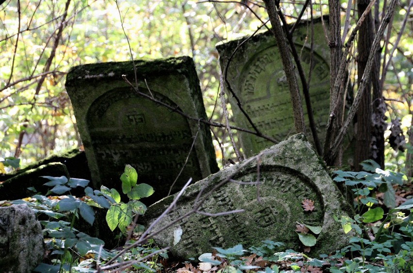 Zabytkowy cmentarz żydowski w Szczebrzeszynie
