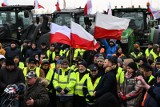 Blokady dróg w całej Polsce. Rolnicy protestują przeciw Zielonemu Ładowi i braku ceł na produkty z Ukrainy - ZDJĘCIA
