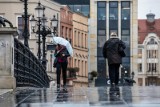 Na początku tygodnia termometry w Kujawsko-Pomorskiem wskażą nawet 7 stopni na plusie