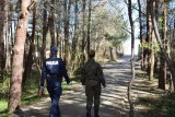 Zniesiony zakaz wstępu do lasów! Rząd przedstawia plan łagodzenia restrykcji i znoszenia zakazów. "Odmrażanie" gospodarki w Polsce