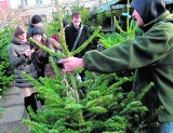 Natura ma swoje prawa. Nasze choinki rosną, duńskie się sprzedają 