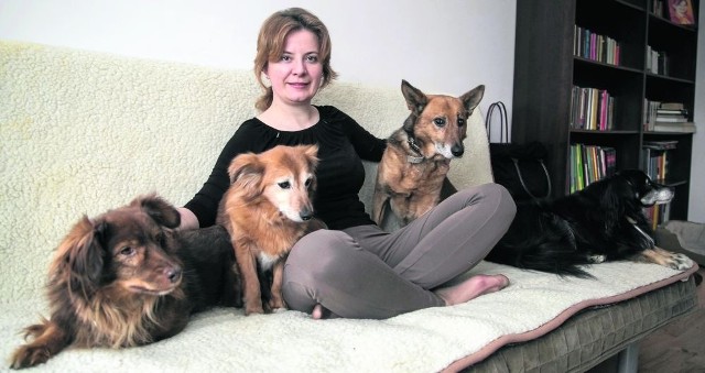 Renata Mizera i jej podopieczni - cztery naprawdę stare psy, które mieszkają z  nią od lat