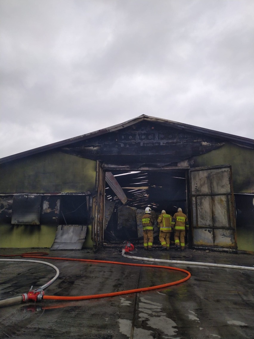 Kilkanaście zastępów straży pożarnej gasiło pożar kurnika w miejscowości Dołki 