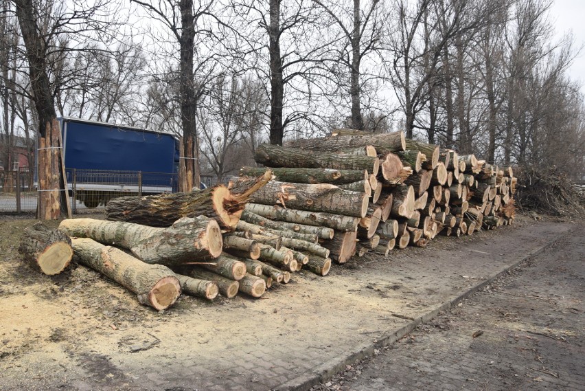 Wycinka drzew przy modernizacji DK 1 w Częstochowie....