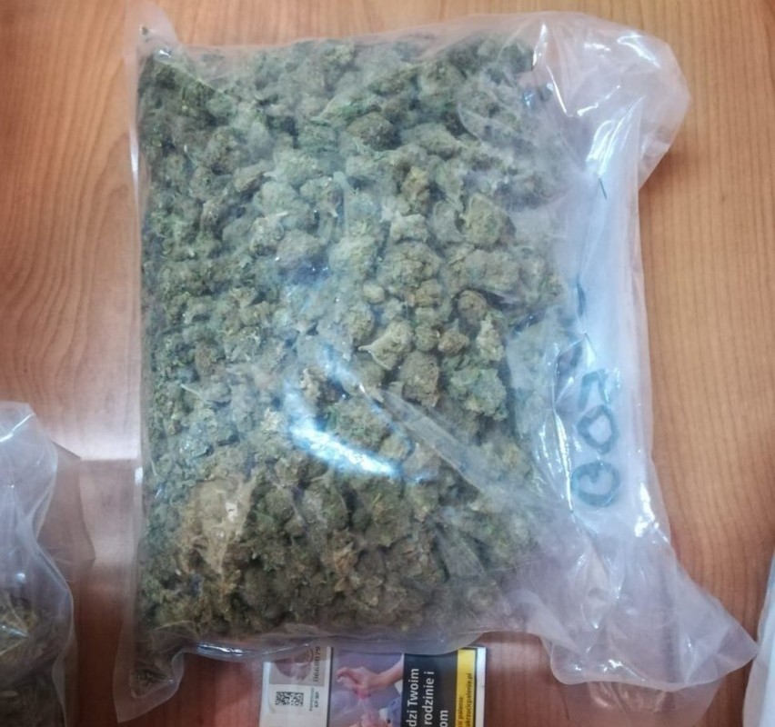 Bytom: Policjanci zabezpieczyli prawie kilogram marihuany. 24-letni właściciel został zatrzymany