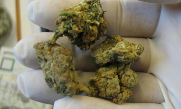 Dziesięć gramów marihuany znaleźli policjanci w mieszkaniu 19-latka.