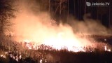 Bardzo duży pożar na wałach w Cieplicach. Płonęło 5 ha nieużytków i lasu