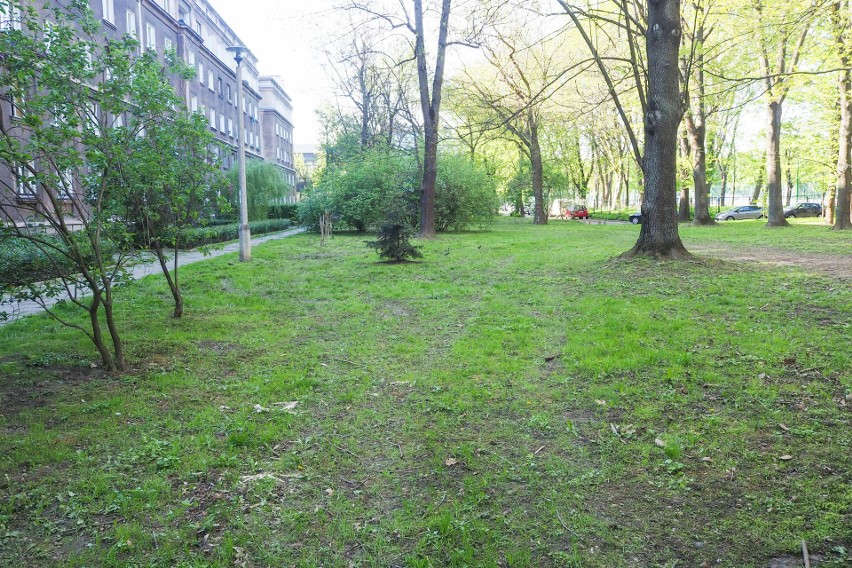 Kraków. Zamiast skoszonej trawy mieszkańcy osiedla Szkolnego "podziwiają" przeorane trawniki