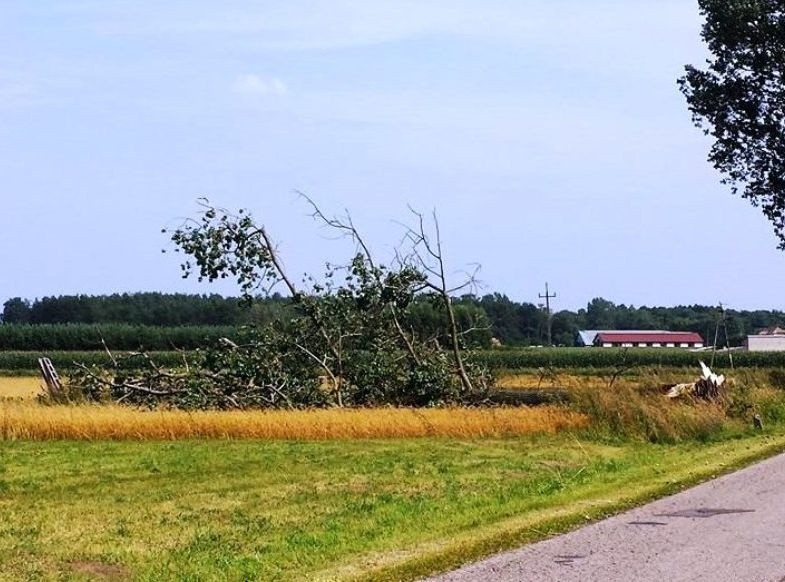 Pow. ostrowski: burza dokonała wielu zniszczeń [ZDJĘCIA]