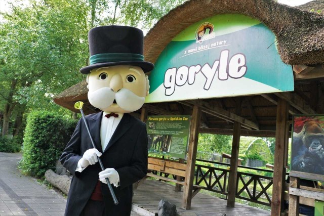 Opolskie zoo będzie drugim najdroższym polem, które znajdzie się  w opolskiej edycji tej gry Monopoly.