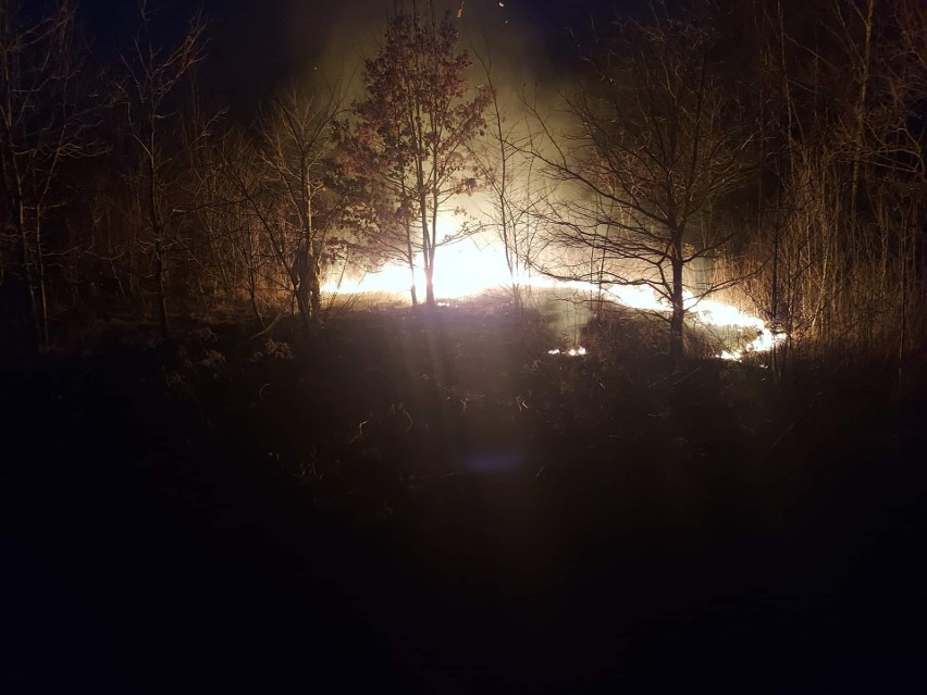 Plaga pożarów traw w Radomiu i powiecie. Strażacy interweniują nawet 50 razy w ciągu doby