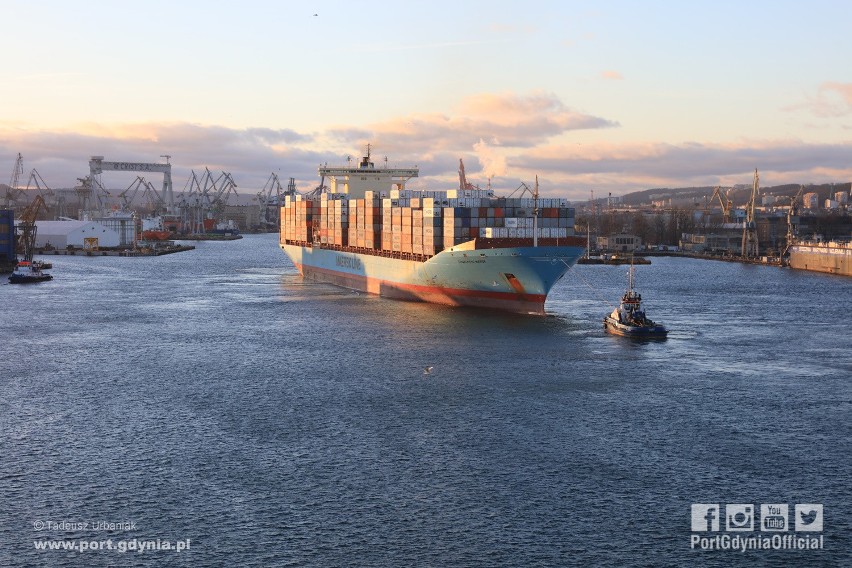 Charlotte Maersk w Porcie Gdynia, 12.02.2019