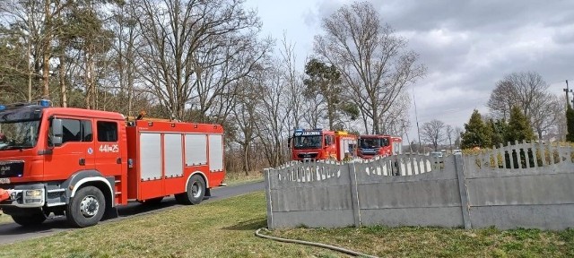 Strażacy wciąż mają pełne ręce roboty. Na terenie powiatu grodziskiego dochodzi do kolejnych pożarów. W poniedziałek, 4 kwietnia, w przeciągu godziny interweniowali dwa razy.