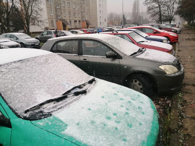 Spadł śnieg, był też lekki mróz.